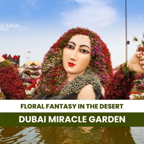 Dubai Miracle Garden and Dubai Miracle Garden Tickets Blog Banner By Travel Saga Tourism