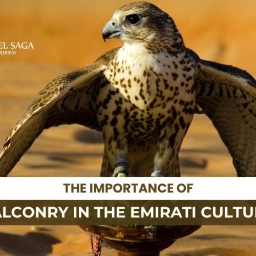 Importance of Falconry in the Emirati Culture and Significance of Falconry in Emirati Culture Blog Banner By Travel Saga Tourism