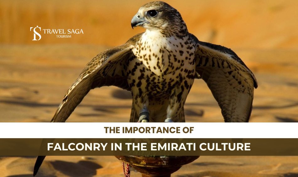 Importance of Falconry in the Emirati Culture and Significance of Falconry in Emirati Culture Blog Banner By Travel Saga Tourism