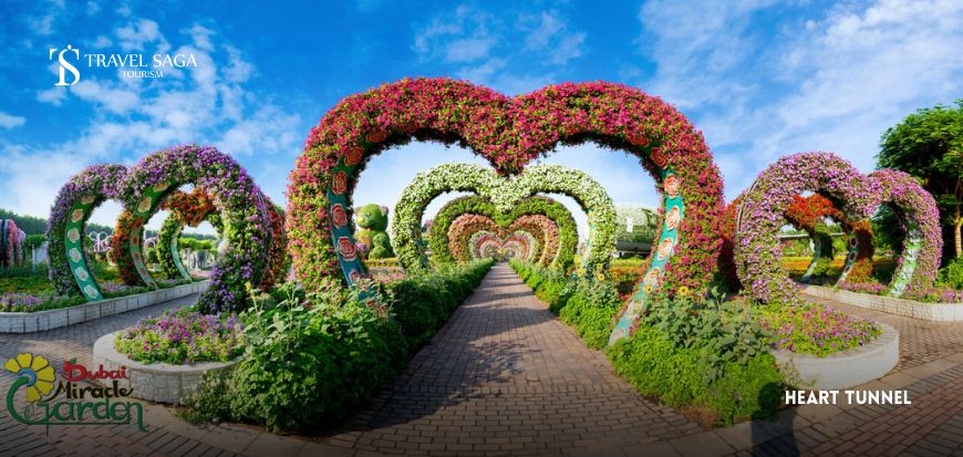 Heart Tunnel