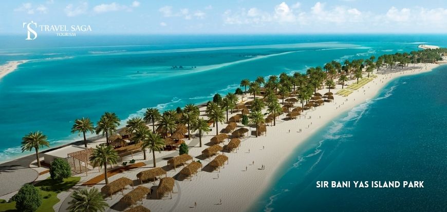 Sir Bani Yas Island
