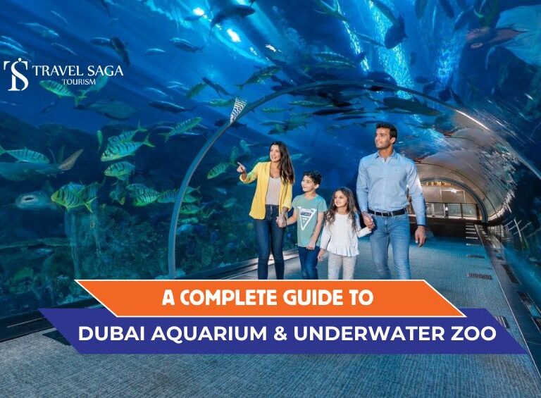 Dubai Aquarium and Underwater Zoo, Dubai Aquarium and Underwater Zoo Tickets blog banner by Travel Saga Tourism