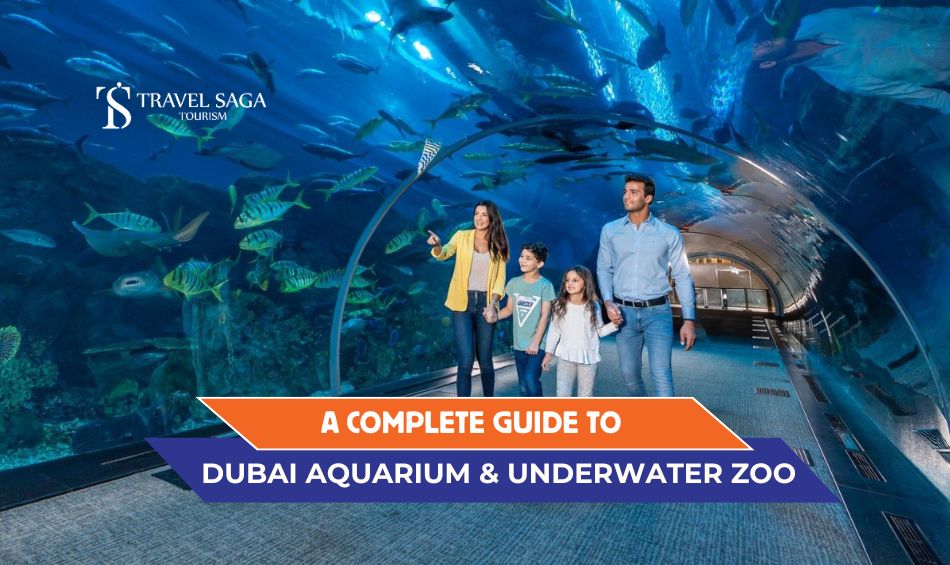 Dubai Aquarium and Underwater Zoo, Dubai Aquarium and Underwater Zoo Tickets blog banner by Travel Saga Tourism