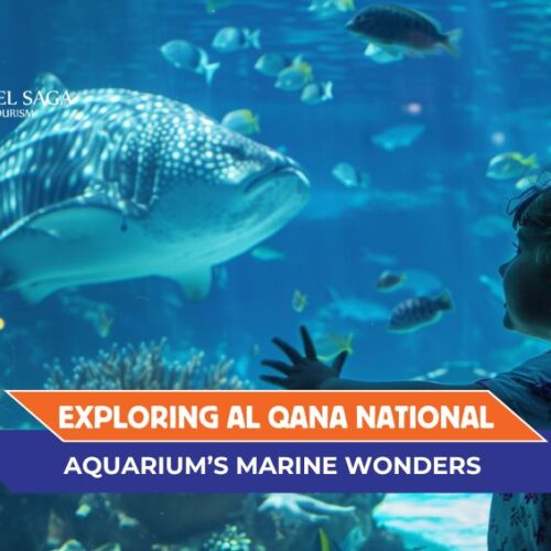 al qana national aquarium and al qana aquarium abu dhabi blog banner by Travel Saga Tourism