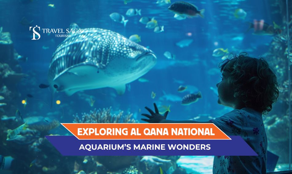 al qana national aquarium and al qana aquarium abu dhabi blog banner by Travel Saga Tourism