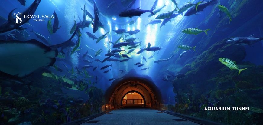 Aquarium Tunnel