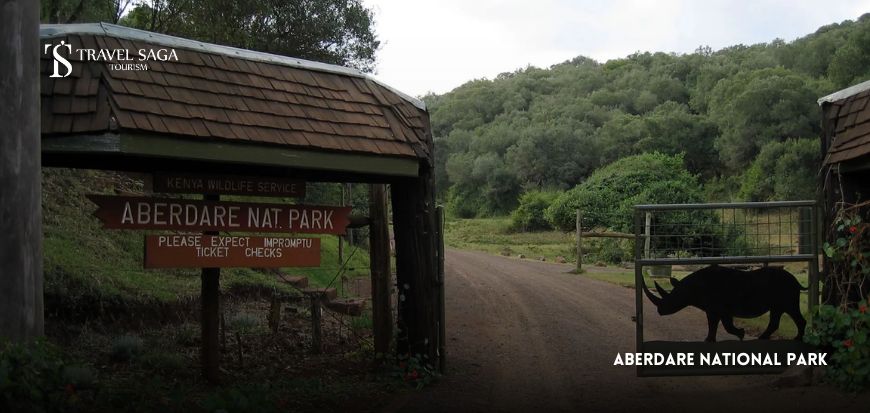Aberdare National Park