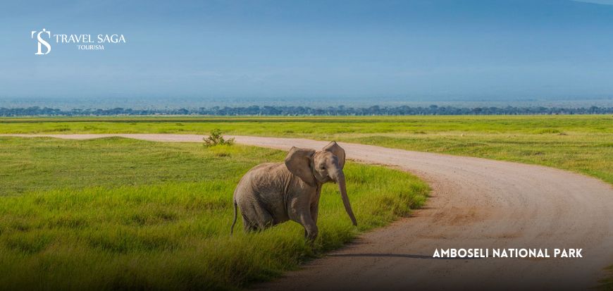 Amboseli National Park