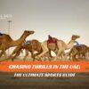 Adventure Sports to Try in Dubai and Thrilling Adventures in Dubai blog banner by Travel Saga Tourism