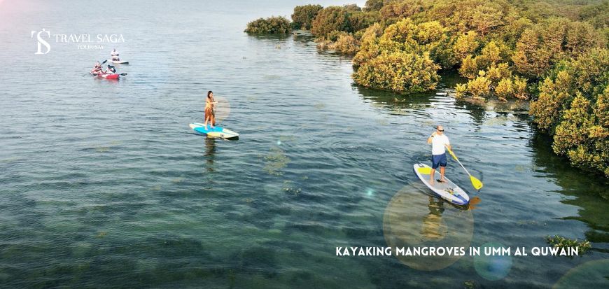 Kayaking Mangroves in Umm Al Quwain
