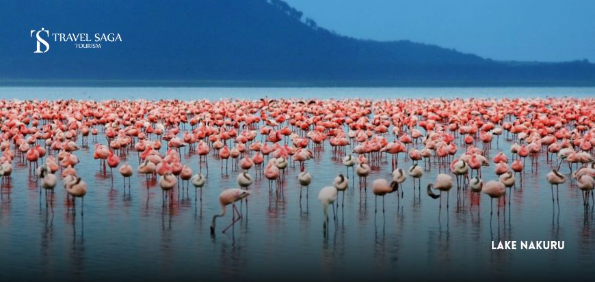 Lake Nakuru