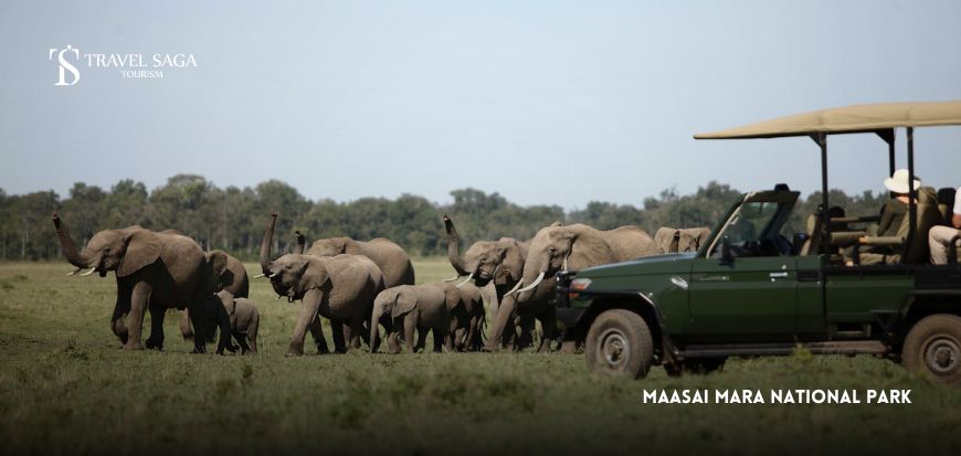 Maasai Mara National Park