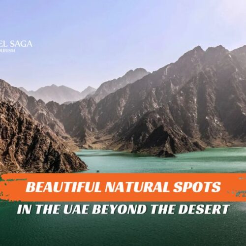 Beautiful nature spots in the UAE and Nature & parks in UAE blog banner by Travel Saga Tourism