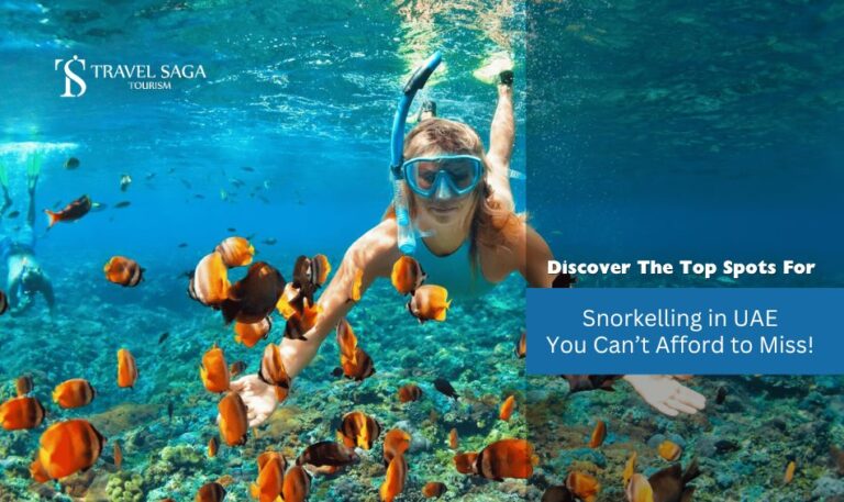 Top Places For Snorkeling In Dubai | Best Places to Go Snorkeling in Dubai Blog Banner by Travel Saga Tourism