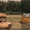 Best Time to Visit Kenya and Kenya Tour Package blog banner Travel Saga Tourism