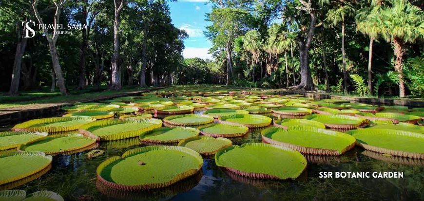 SSR Botanic Garden  