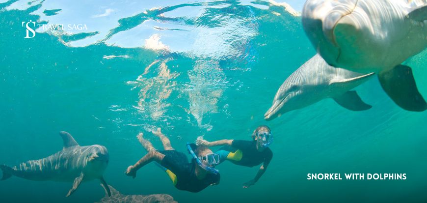 Snorkel with Dolphins 