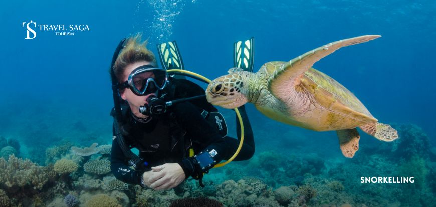 Snorkelling