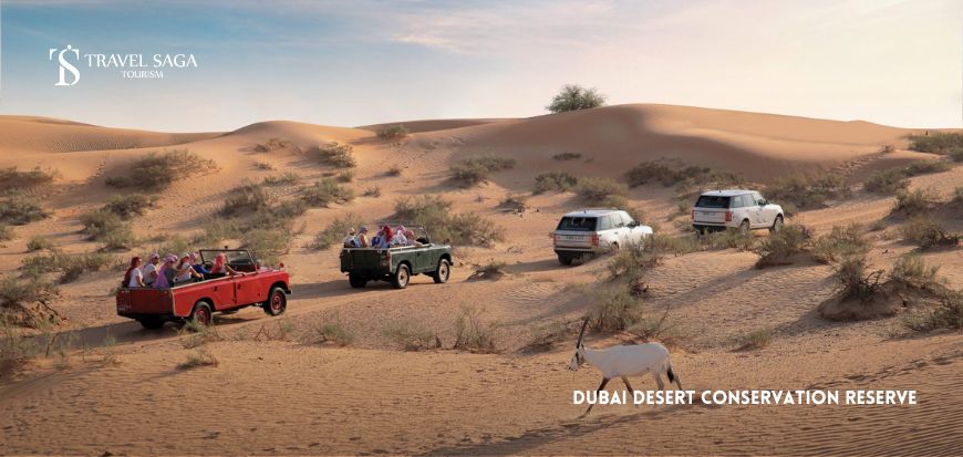 Dubai Desert Conservation Reserve