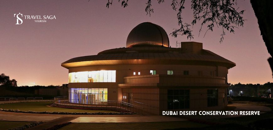 Dubai Desert Conservation Reserve