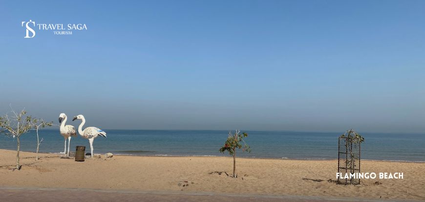 Flamingo Beach