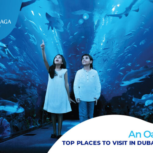 Tourist Places in Dubai | Places to visit in Dubai Blog Banner by Travel Saga Tourism