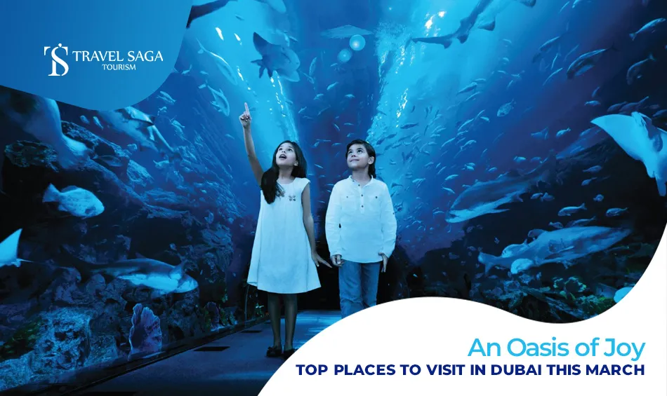 Tourist Places in Dubai | Places to visit in Dubai Blog Banner by Travel Saga Tourism