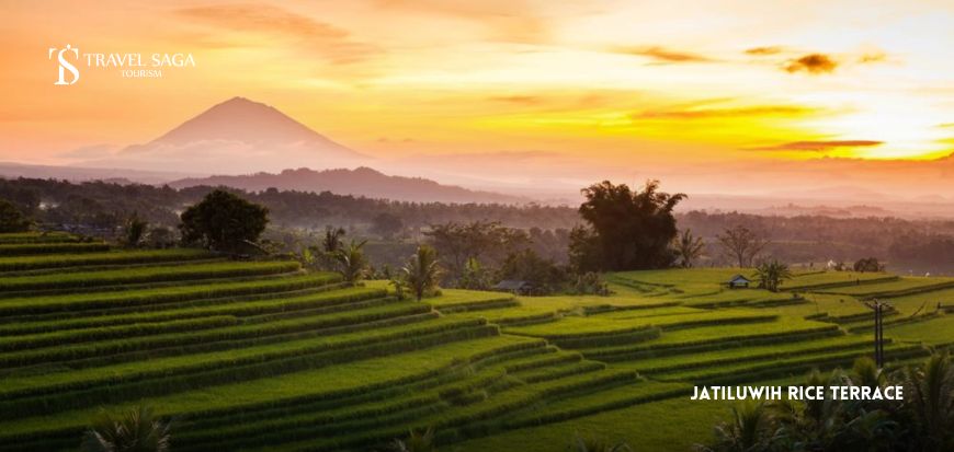 Jatiluwih Rice Terrace  
