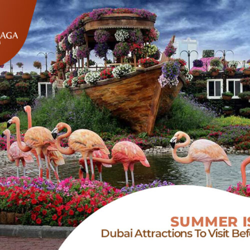 Tourist Places in Dubai | Places to visit in Dubai