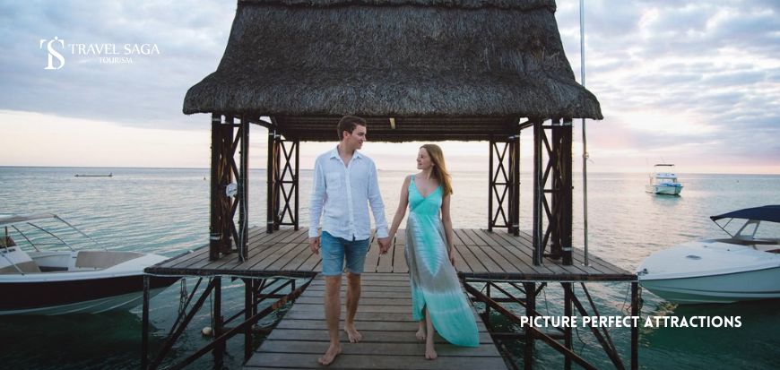 Picture Perfect Attractions  
