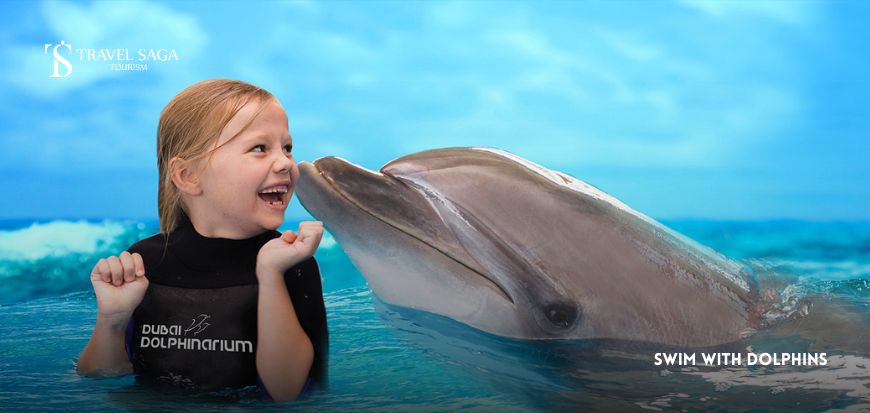 Swim with Dolphins  