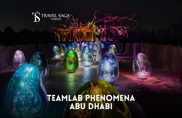 TeamLab Phenomena Abu Dhabi