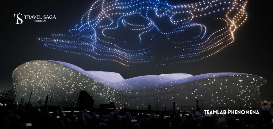 TeamLab Phenomena  