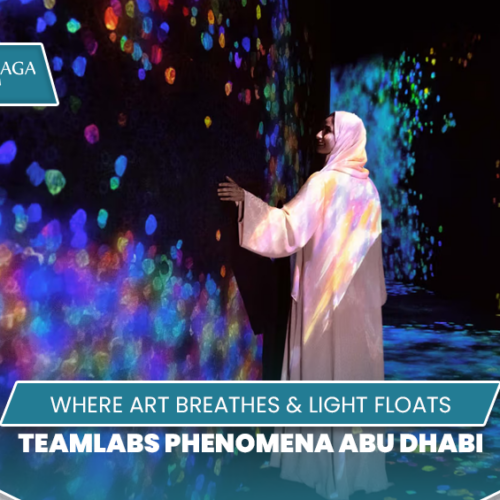 TeamLabs Phenomena Abu Dhabi | TeamLabs Phenomena Abu Dhabi Tickets Blog Banner by Travel Saga Tourism