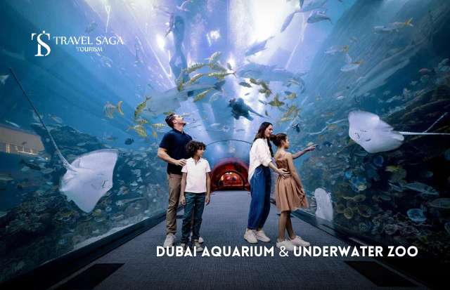 Dubai Aquarium and Underwater Zoo
