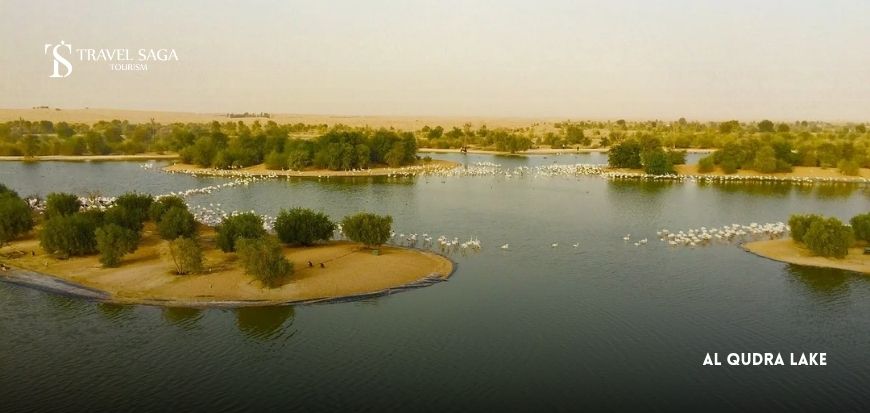 Al Qudra Lake