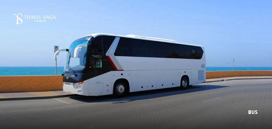 Bus