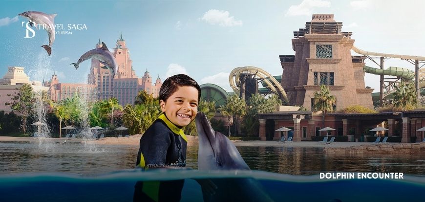 Dolphin Encounter 