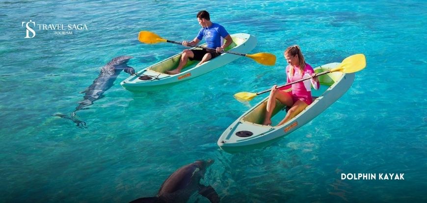 Dolphin Kayak  