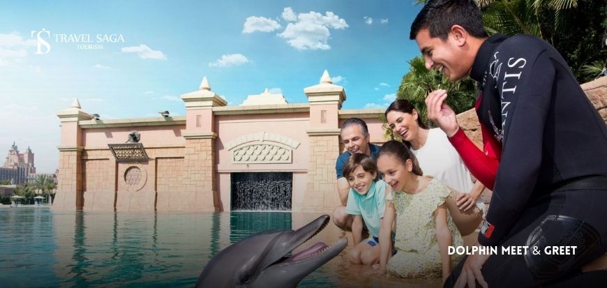 Dolphin Meet & Greet 