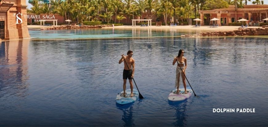 Dolphin Paddle 