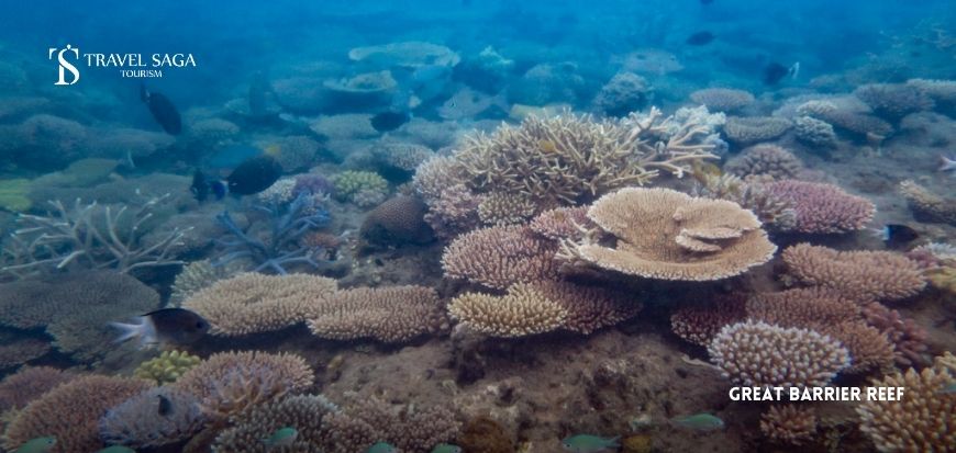 Great Barrier Reef