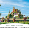 Dubai Miracle Garden Tickets | Miracle Garden Dubai