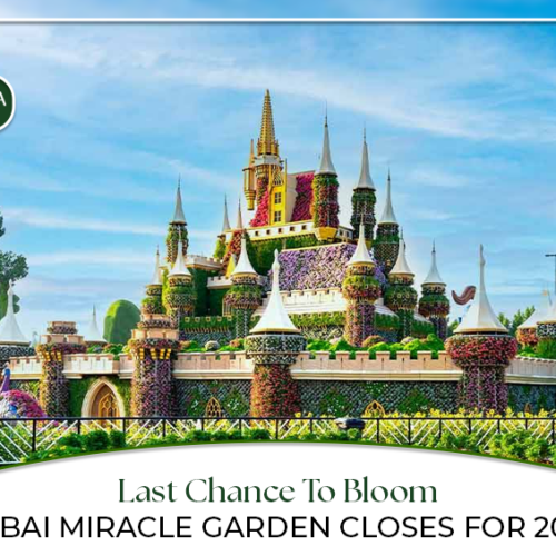Dubai Miracle Garden Tickets | Miracle Garden Dubai