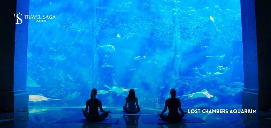 Lost Chambers Aquarium
