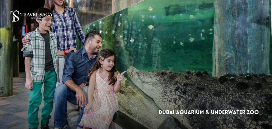 Dubai Aquarium & Underwater Zoo