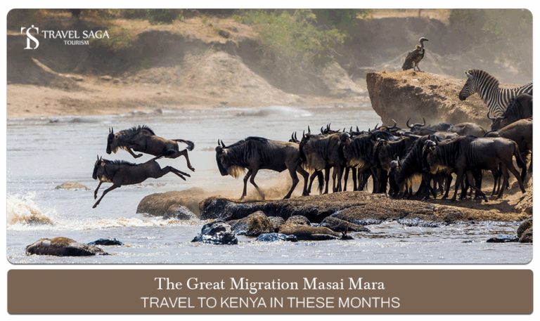 Great Migration Masai Mara, Masai Mara migration season Blog Banner by Travel Saga Tourism