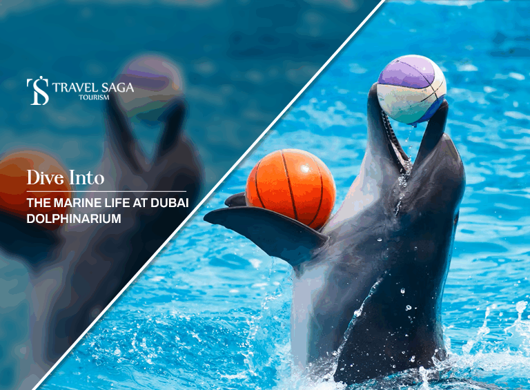 Dive Into The Marine life | Dubai Dolphinarium Experience Blog Banner by Travel Saga Tourism