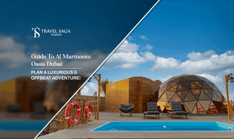 Al Marmoom Oasis Dubai, Al Marmoom Desert Conservation Reserve Blog Banner by Travel Saga Tourism