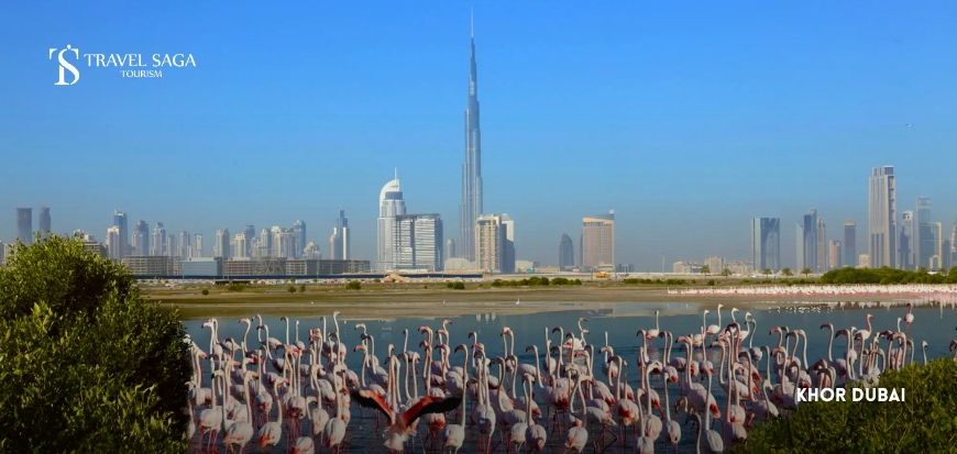 Khor Dubai  